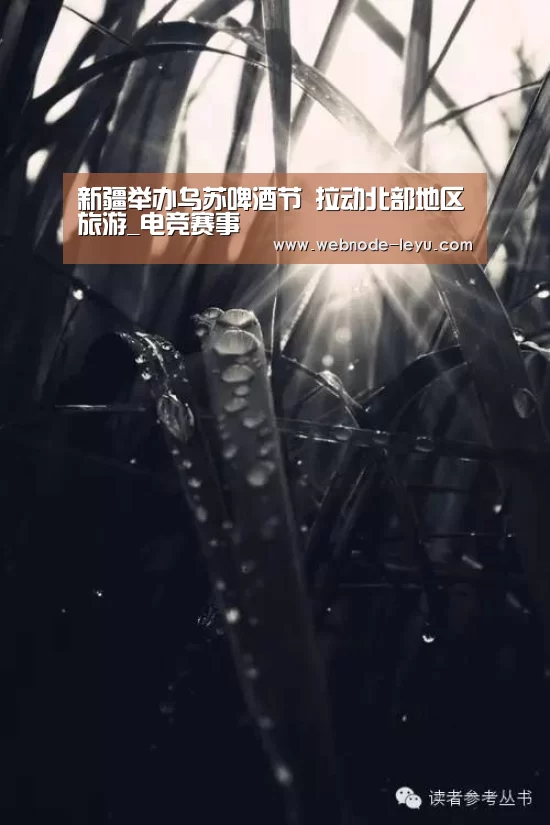 新疆举办乌苏啤酒节 拉动北部地区旅游_电竞赛事