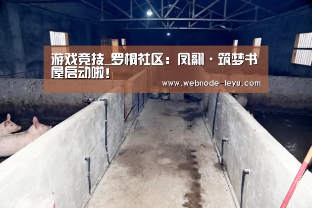 游戏竞技_罗桐社区:凤翮·筑梦书屋启动啦!(图1) 电竞赛事